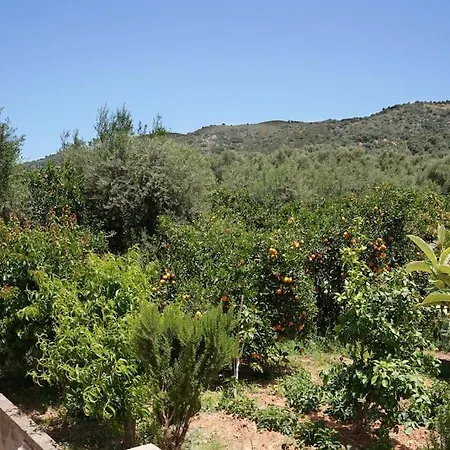 Lägenhet Argyro Apt - Spacious 3bd In Peaceful Village